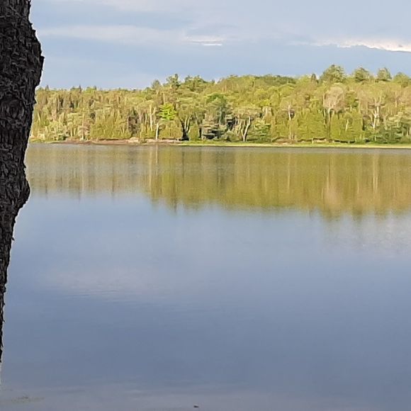 Meet your Posher, Sandy - Picture 1 of 1